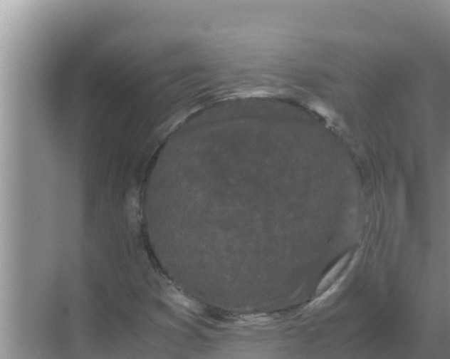 X0000069391353200605262105