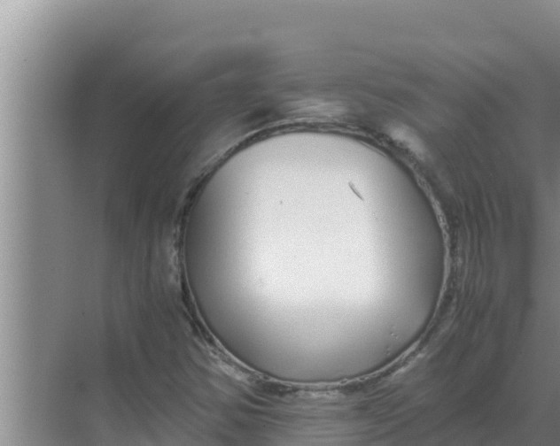 X0000069391354200605262105