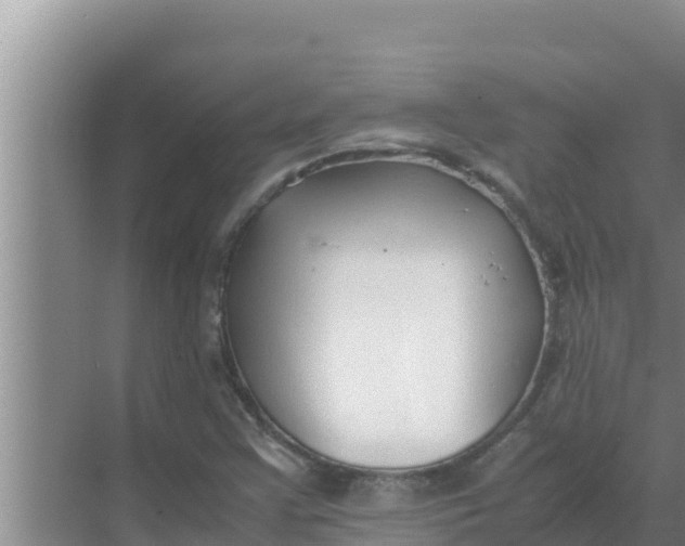 X0000069391355200605262105