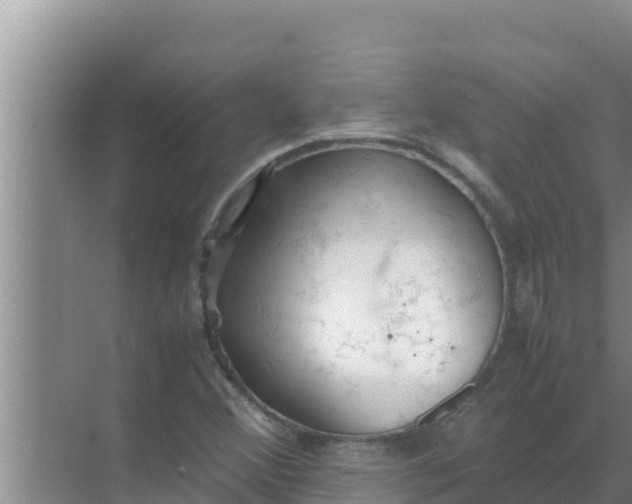 X0000069391356200605262105