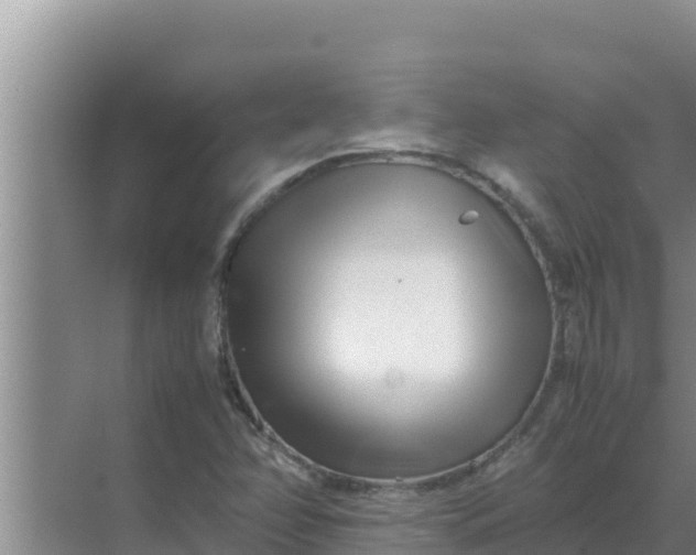 X0000069391358200605262105