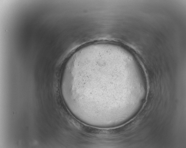 X0000069391359200605262105