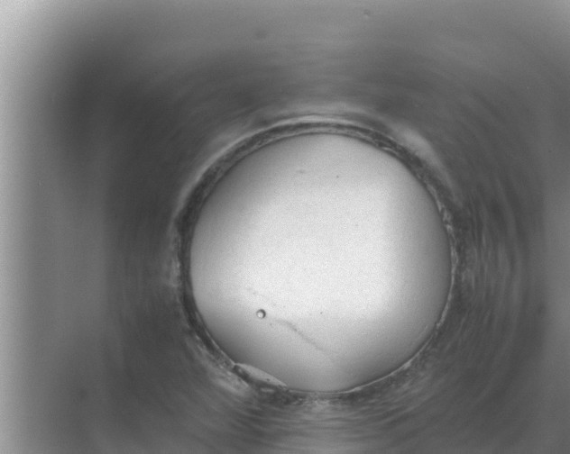 X0000069391360200605262105