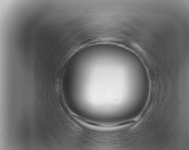 X0000069391361200605262105