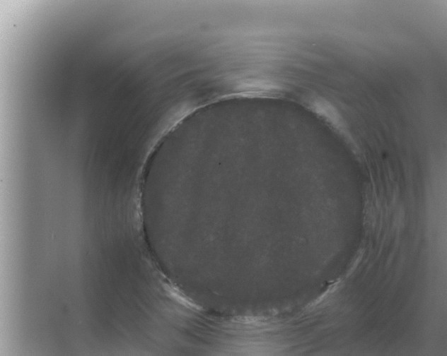 X0000069391362200605262105