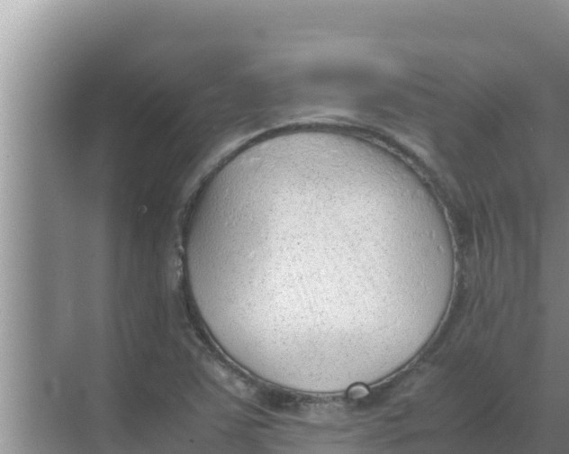 X0000069391363200605262105