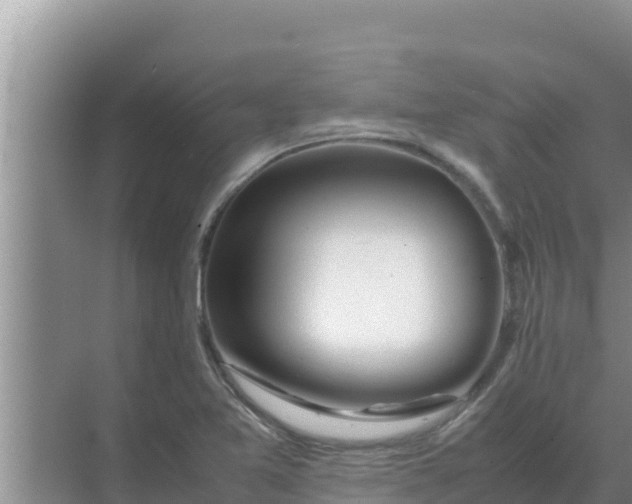 X0000069391365200605262105