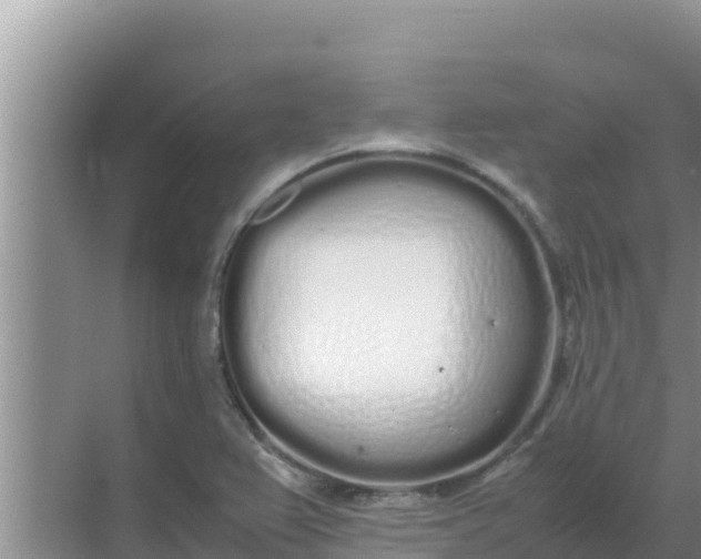 X0000069391367200605262105