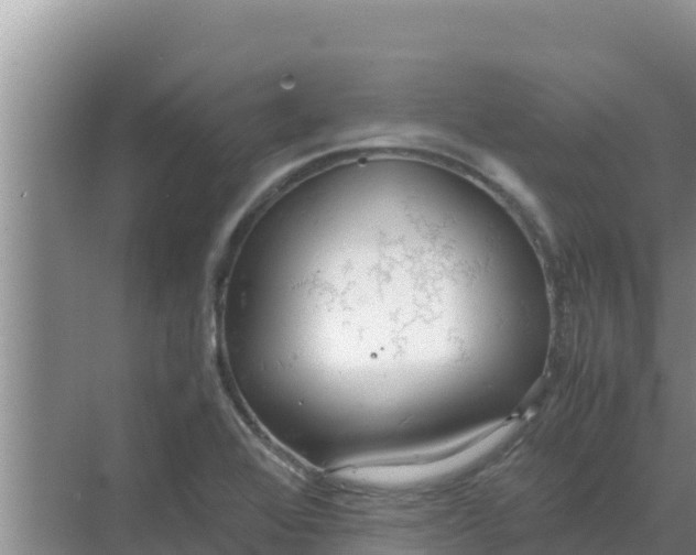 X0000069391368200605262105