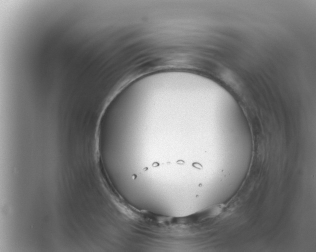 X0000069391370200605262105