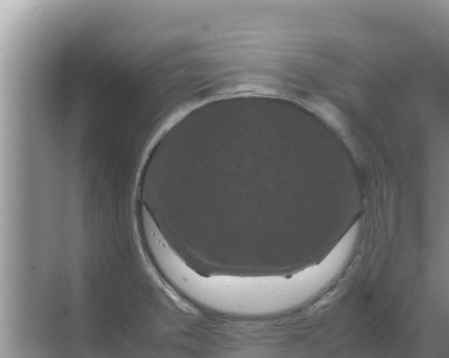 X0000069391373200605262105