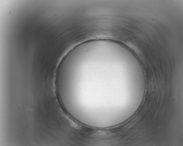 X0000069391374200605262105