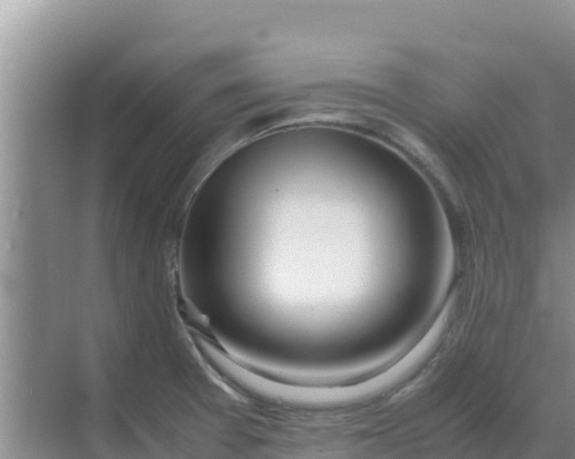 X0000069391377200605262105