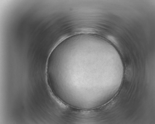 X0000069391378200605262105