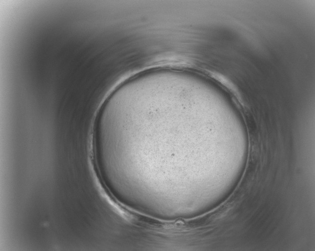 X0000069391383200605262105