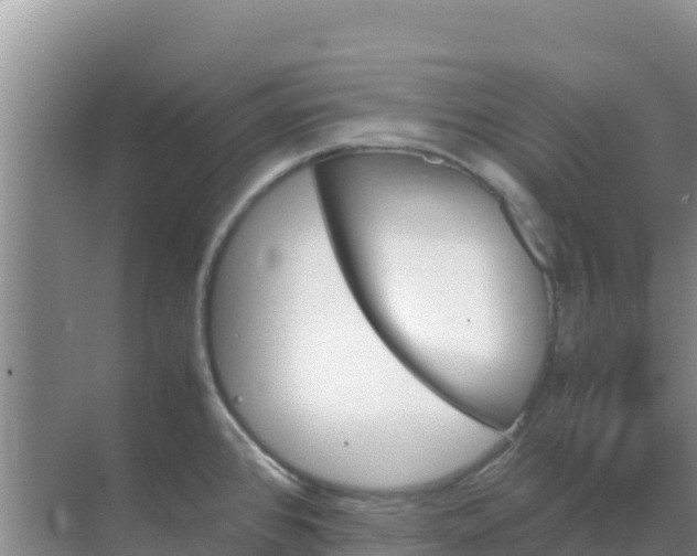 X0000069391384200605262105