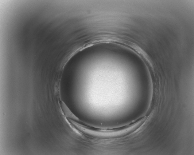 X0000069391385200605262105