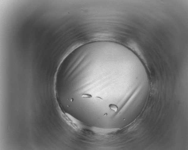 X0000069391386200605262105