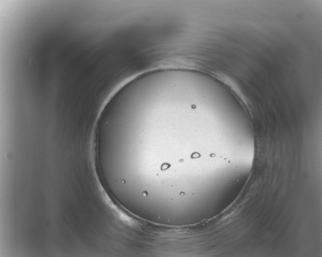 X0000069391387200605262105