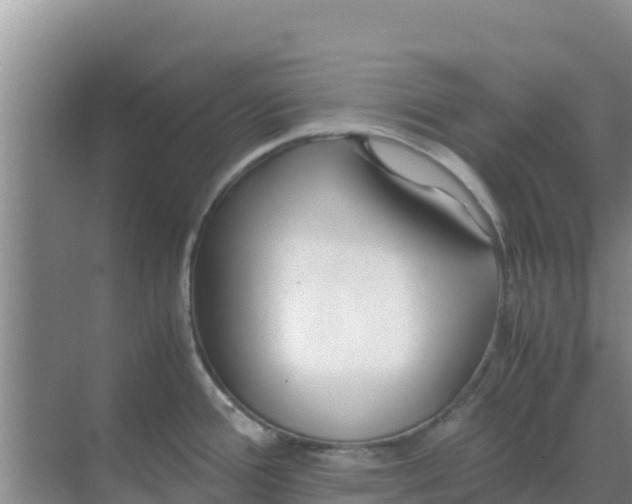 X0000069391388200605262105