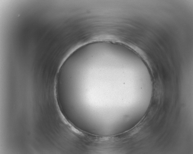 X0000069391390200605262105