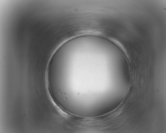 X0000069391391200605262105