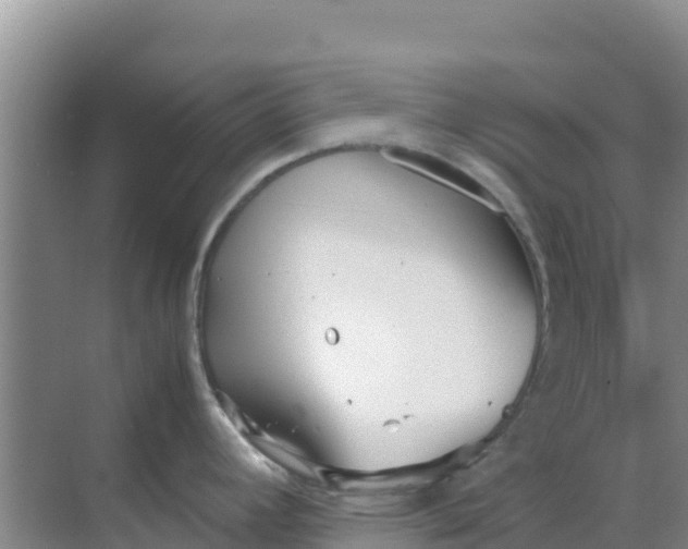 X0000069391392200605262105