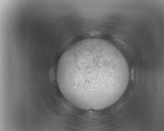 X0000069391395200605262104