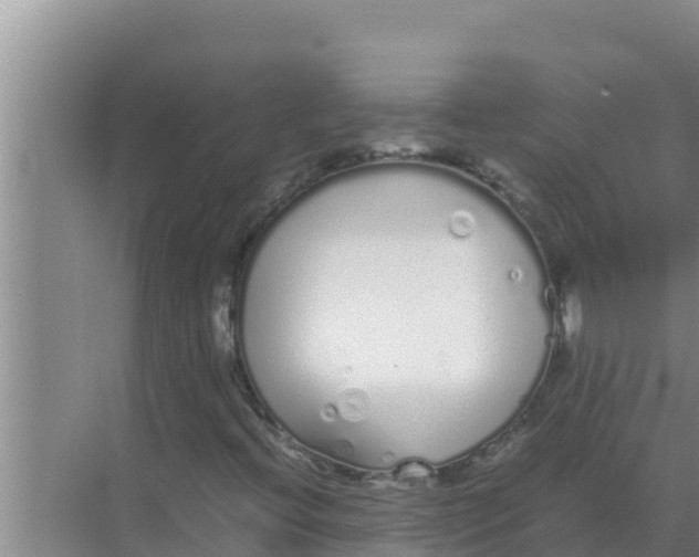 X0000069391396200605262104