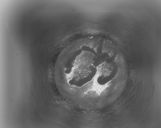 X0000069391397200605262104