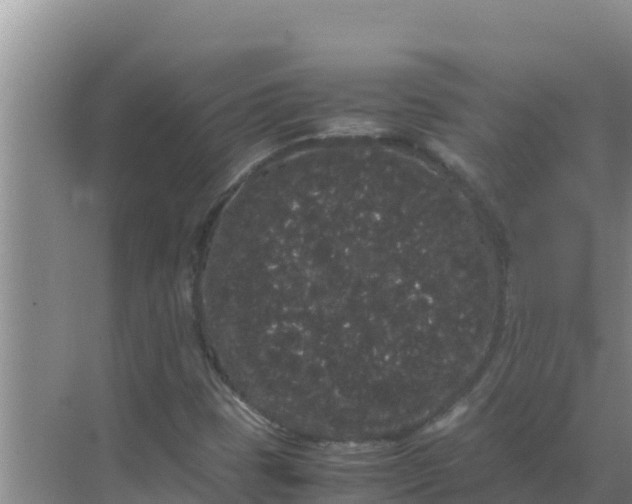 X0000069391401200605262104