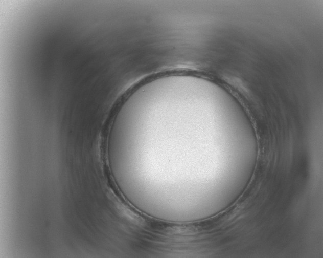 X0000069391404200605262104