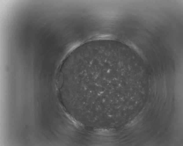 X0000069391405200605262104