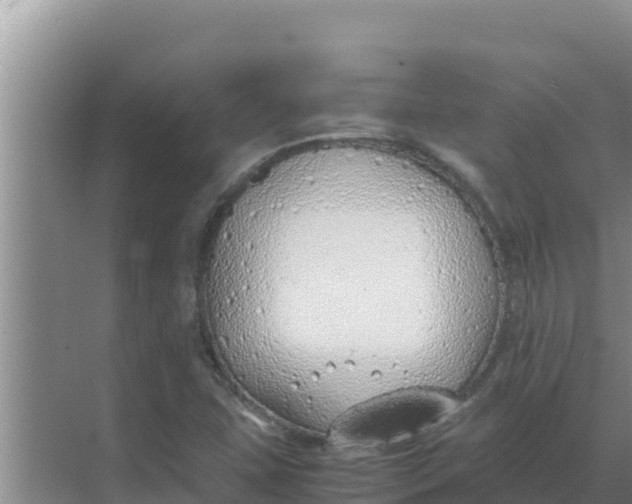 X0000069391407200605262104