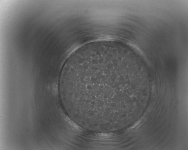 X0000069391409200605262104