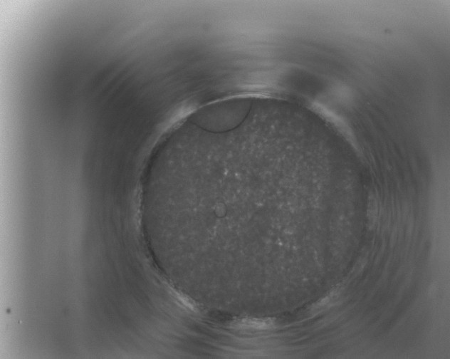 X0000069391411200605262104