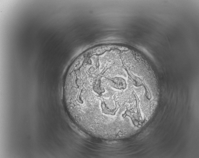 X0000069391413200605262104