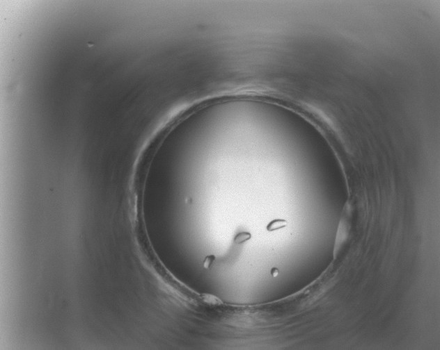 X0000069391414200605262104