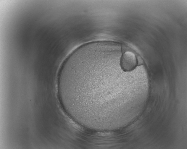 X0000069391415200605262104