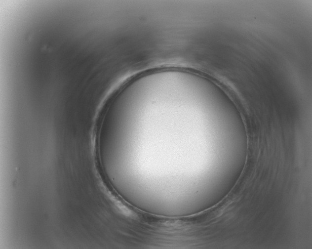 X0000069391416200605262104