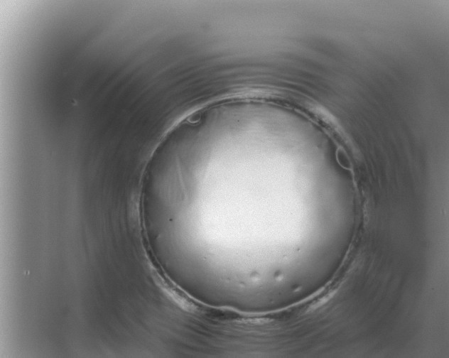 X0000069391417200605262104