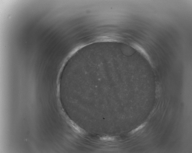 X0000069391419200605262104