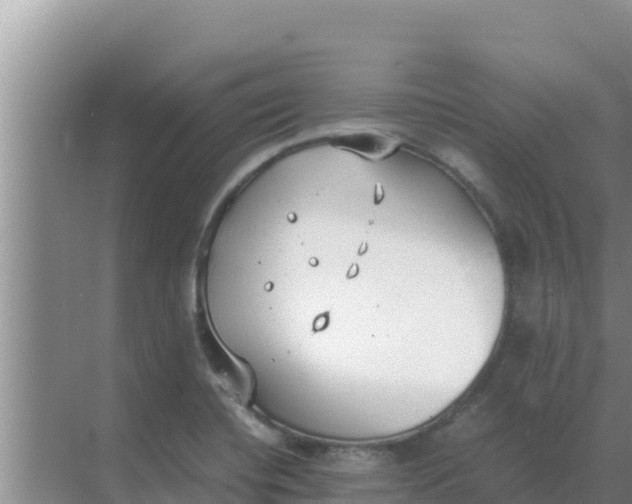 X0000069391420200605262104