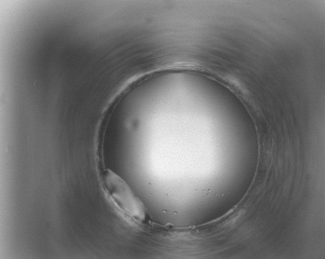 X0000069391422200605262105