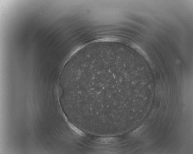 X0000069391425200605262105