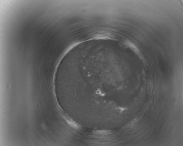 X0000069391427200605262105