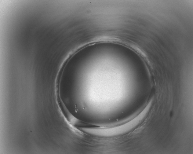 X0000069391430200605262105