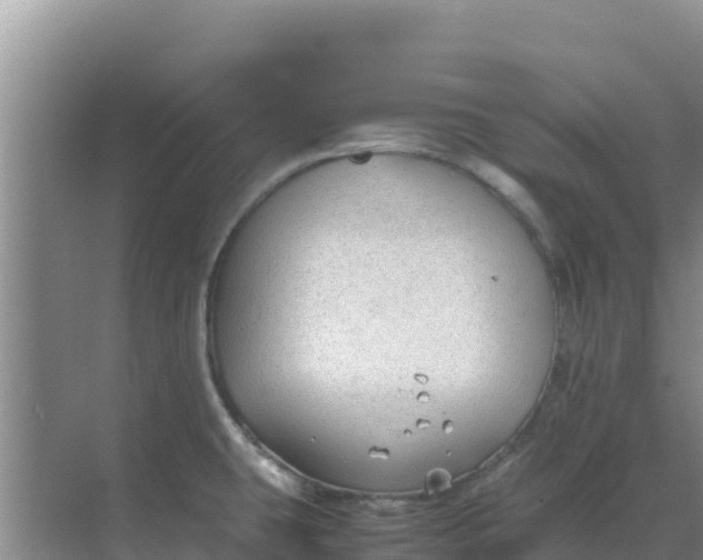 X0000069391431200605262105