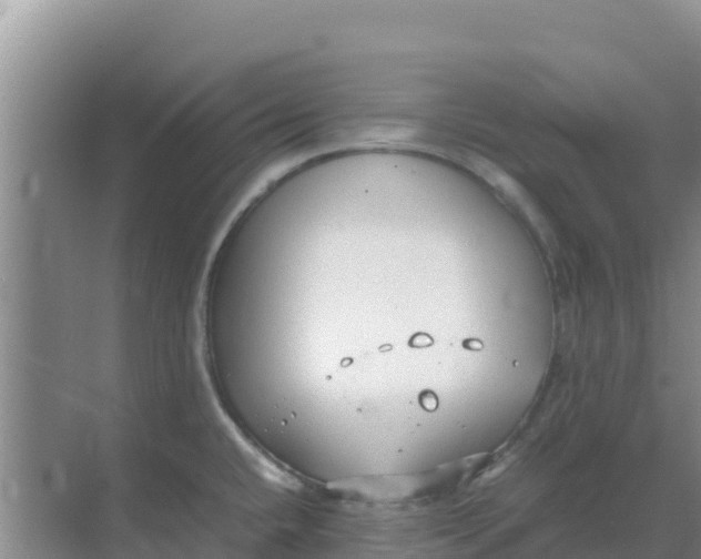 X0000069391432200605262105