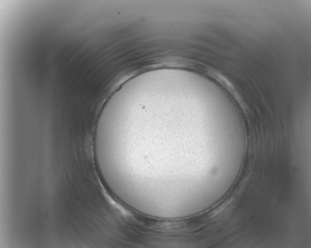 X0000069391433200605262105